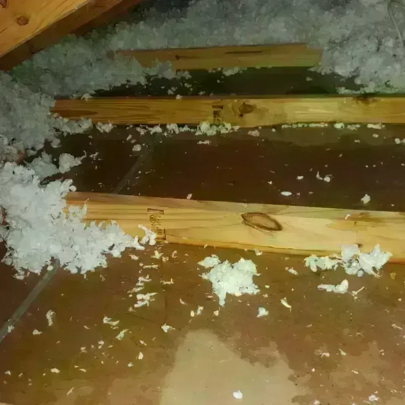 Attic Water Damage in Granite Falls, NC