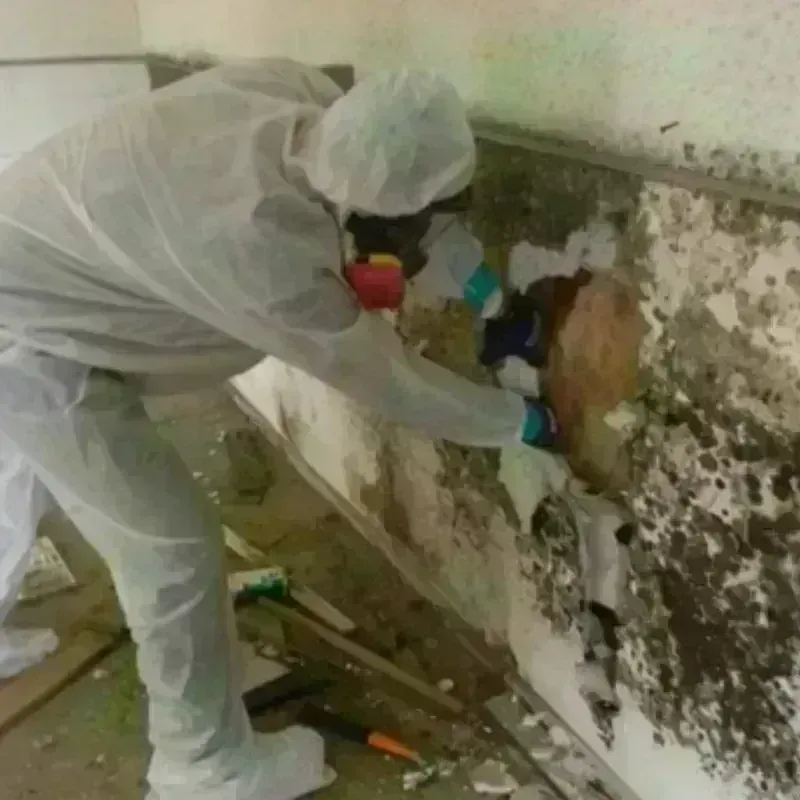 Mold Remediation and Removal in Granite Falls, NC